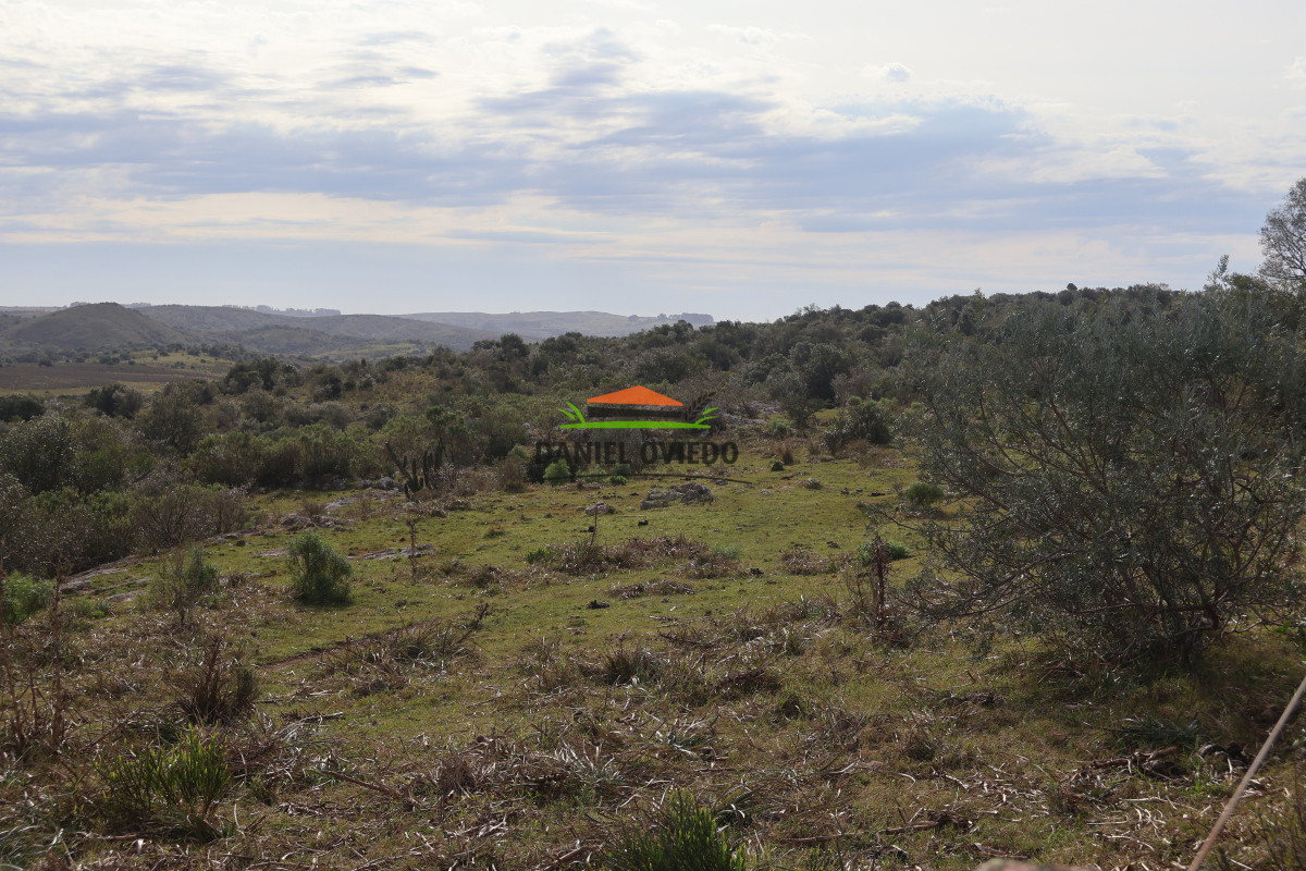 Campo Ref.213 - La Estancia La Alegría, 470 has en venta en Cerro Largo.