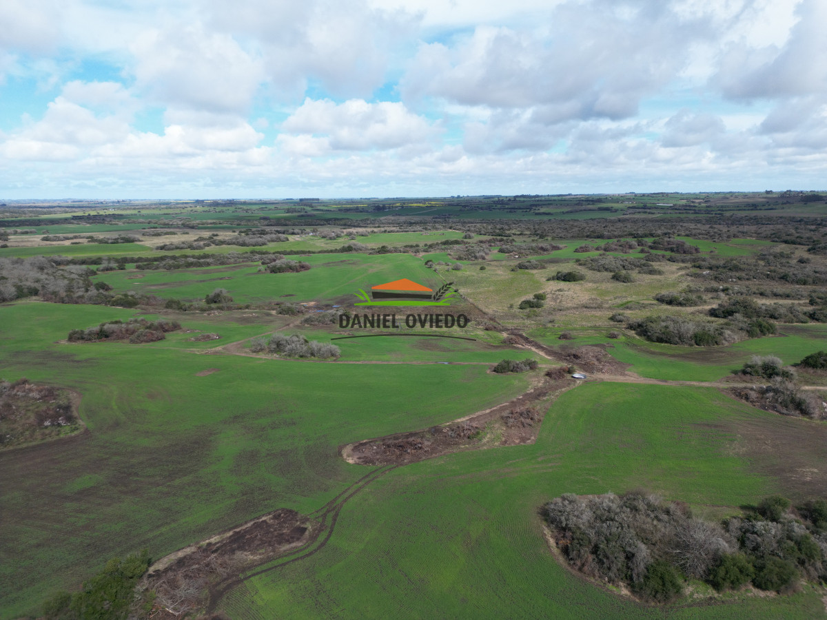 Campo Ref.249/Buen-campo-ganadero-en-venta-ideal-para-engorde. - Buen campo ganadero en venta ideal para engorde.