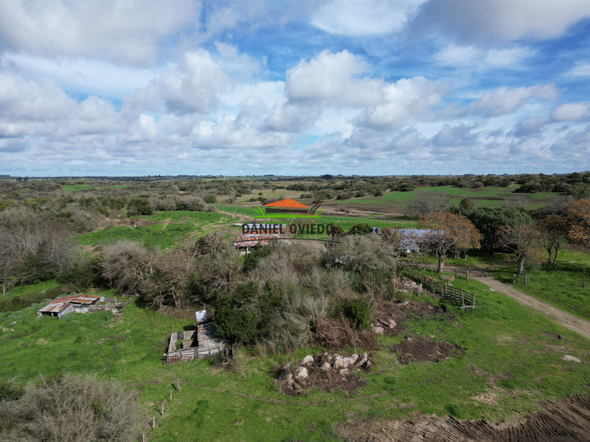 Campo Ref.249/Buen-campo-ganadero-en-venta-ideal-para-engorde. - Buen campo ganadero en venta ideal para engorde.