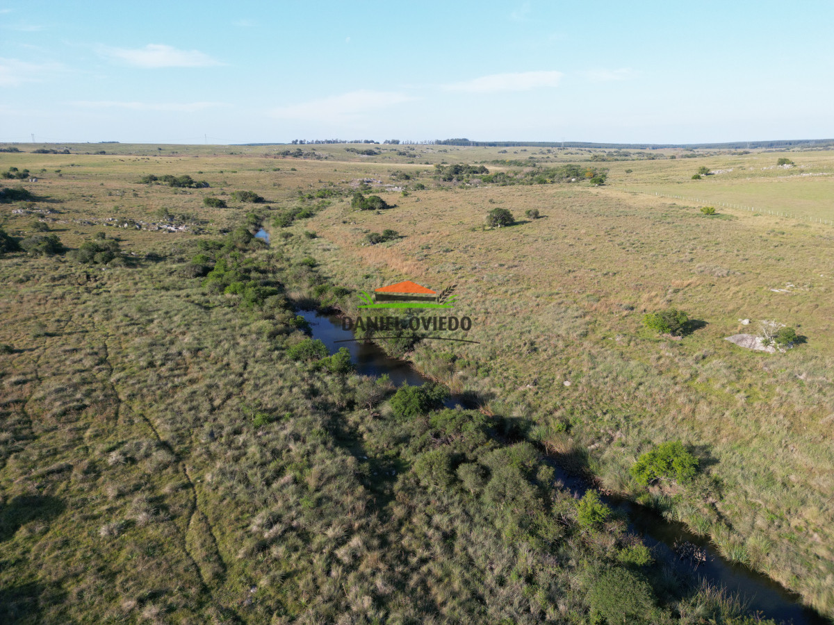 Campo Ref.201 - Establecimiento completo de 400 hás en venta en Flores.