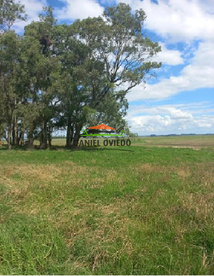 Campo Ref.145 - Establecimiento de 3.000 hás en venta en Cerro Largo.