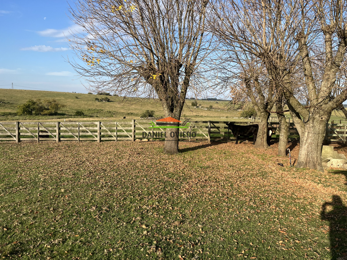 Campo Ref.201 - Establecimiento completo de 400 hás en venta en Flores.