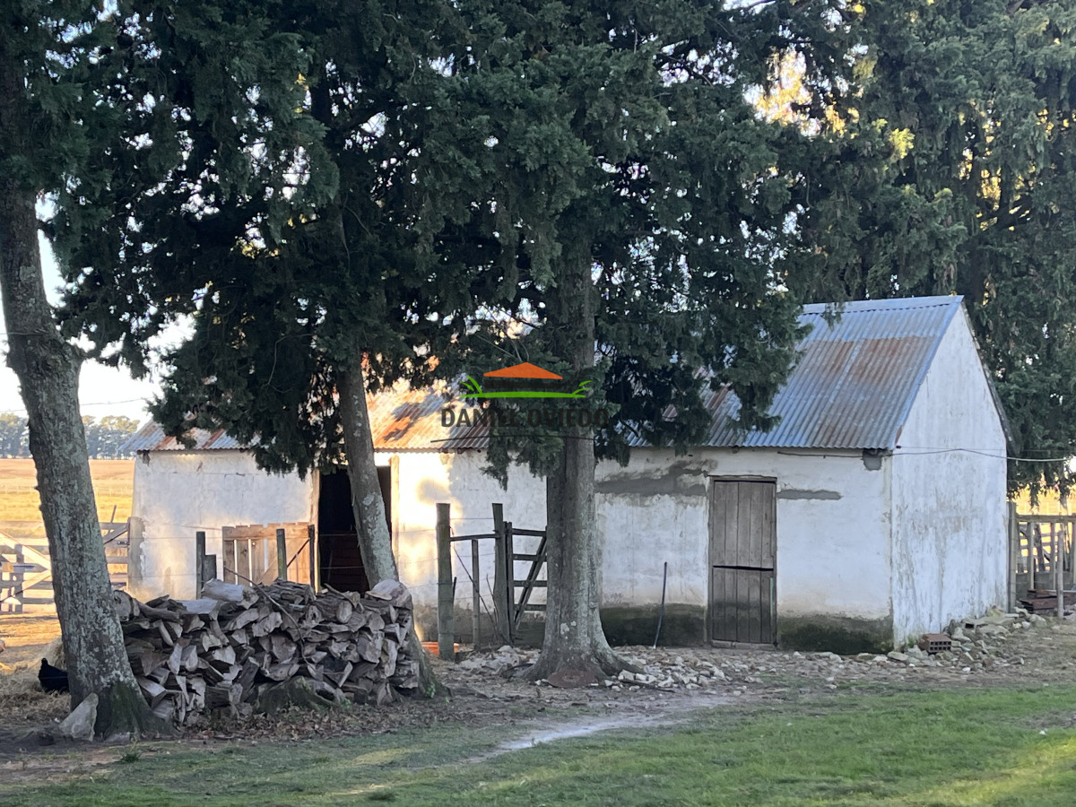Campo Ref.206 - Excepcional ubicación en ruta 1 y campo productivo con muy buenos suelos.