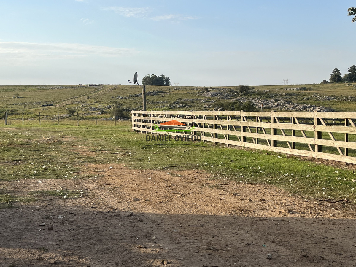 Campo Ref.201 - Establecimiento completo de 400 hás en venta en Flores.