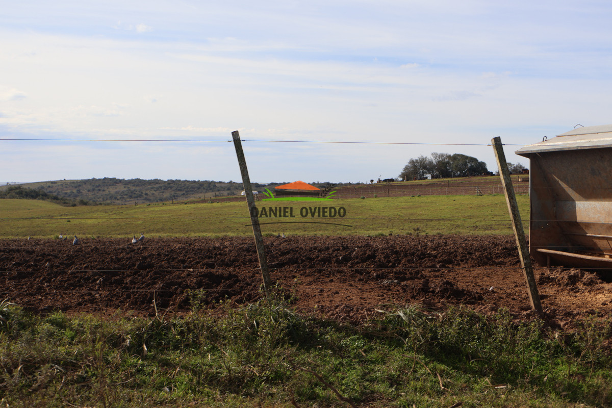 Campo Ref.213 - La Estancia La Alegría, 470 has en venta en Cerro Largo.