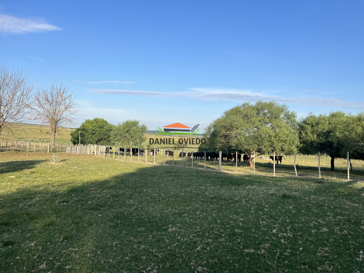 Campo Ref.201 - Establecimiento completo de 400 hás en venta en Flores.