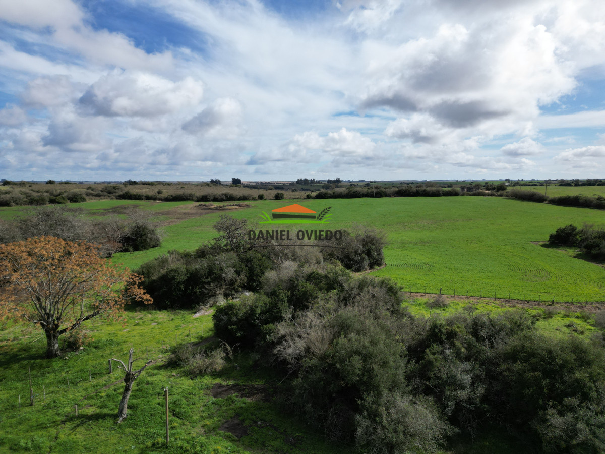 Campo Ref.249/Buen-campo-ganadero-en-venta-ideal-para-engorde. - Buen campo ganadero en venta ideal para engorde.