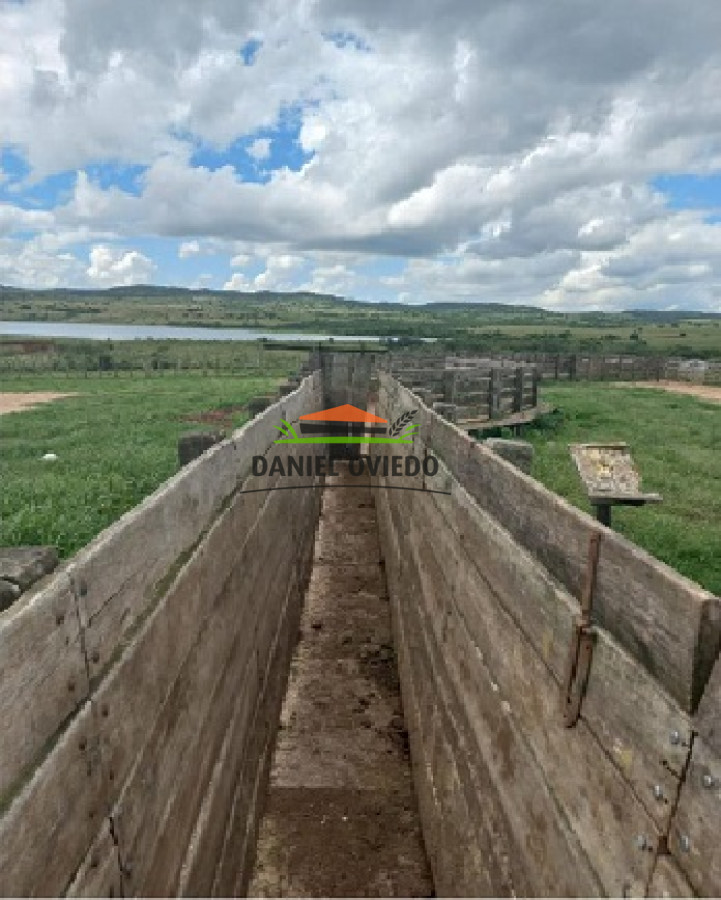 Campo Ref.145 - Establecimiento de 3.000 hás en venta en Cerro Largo.