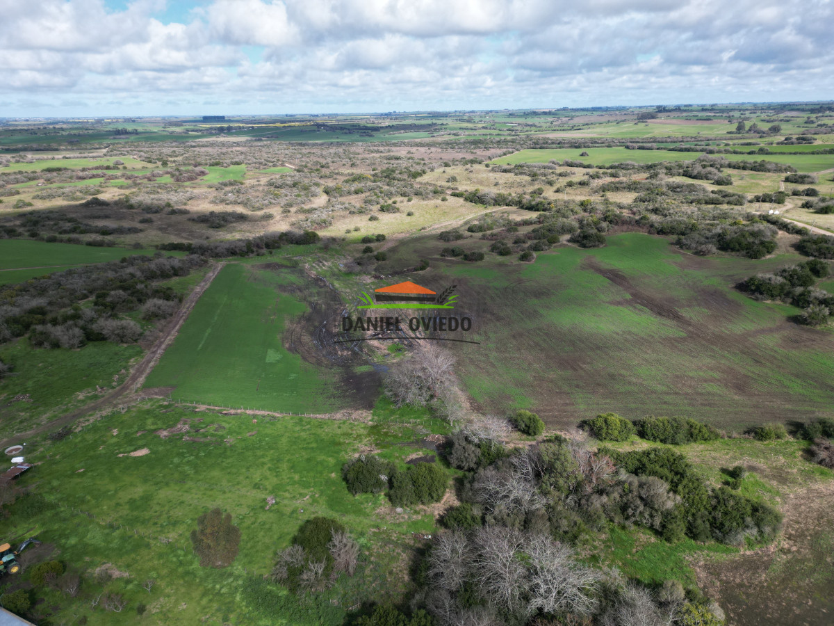 Campo Ref.249/Buen-campo-ganadero-en-venta-ideal-para-engorde. - Buen campo ganadero en venta ideal para engorde.