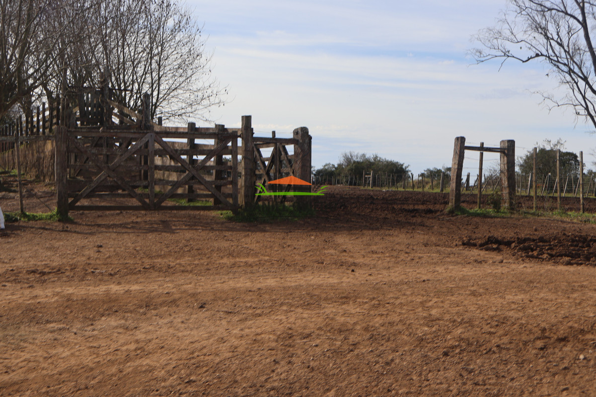 Campo Ref.213 - La Estancia La Alegría, 470 has en venta en Cerro Largo.