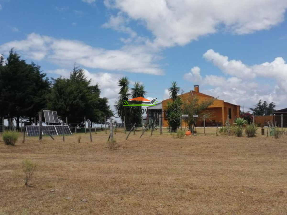 Campo Ref.74 - Campo ganadero forestal en venta de 595 hás, Cerro Largo.