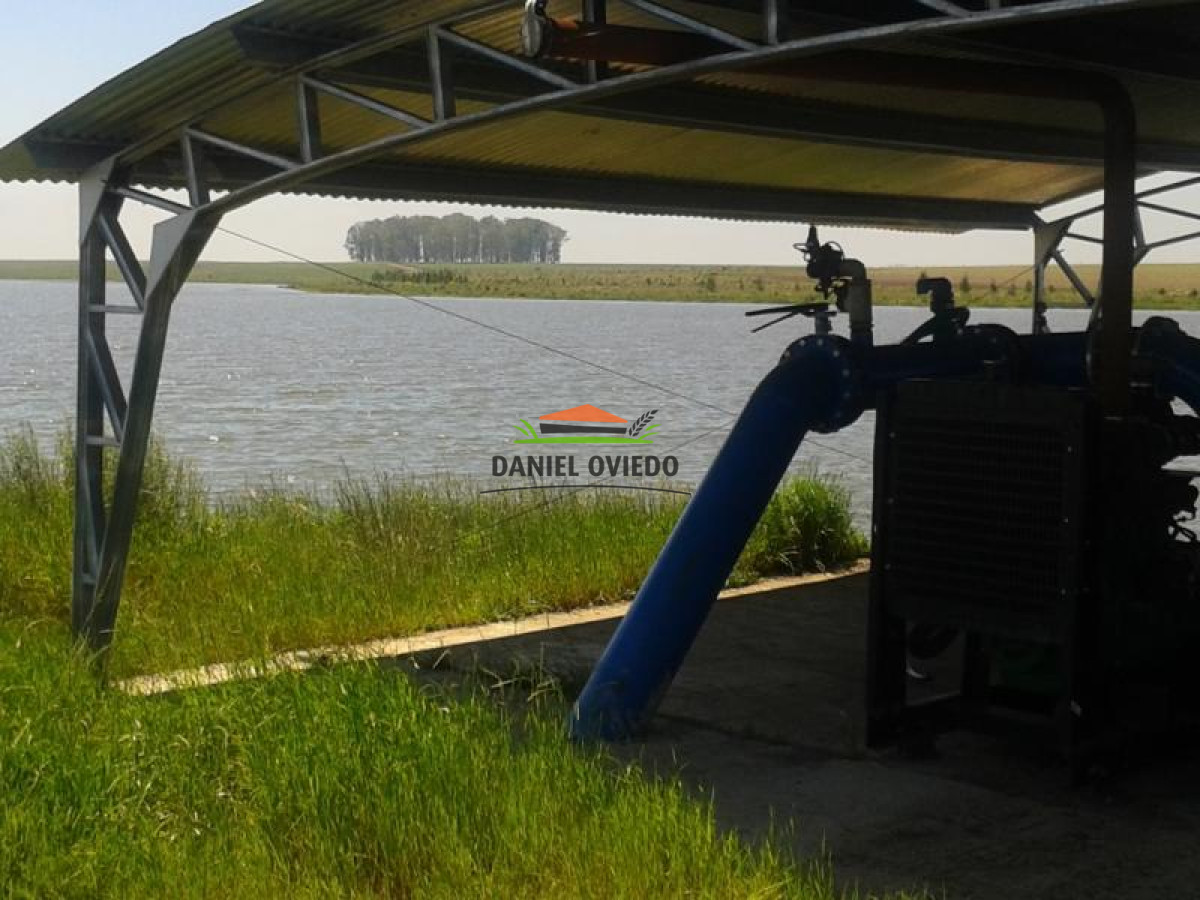 Campo Ref.15 - Campo agrícola en venta de 550 hás, Tacuarembó.