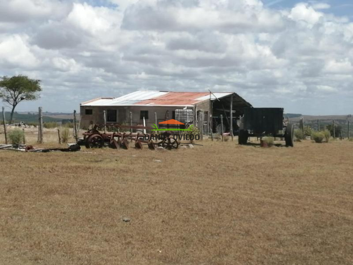 Campo Ref.74 - Campo ganadero forestal en venta de 595 hás, Cerro Largo.