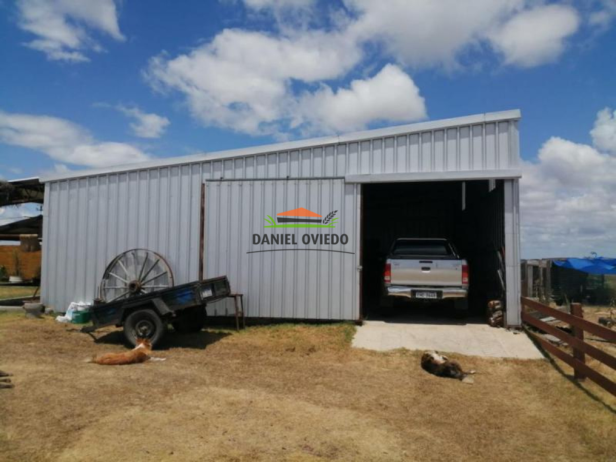 Campo Ref.74 - Campo ganadero forestal en venta de 595 hás, Cerro Largo.