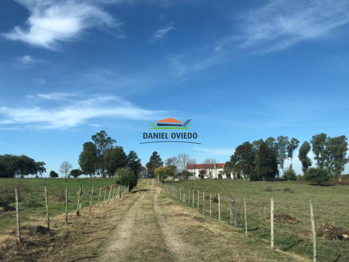Campo Ref.65 - 35.5 hás frente a Zona Franca Nueva Helvecia.
