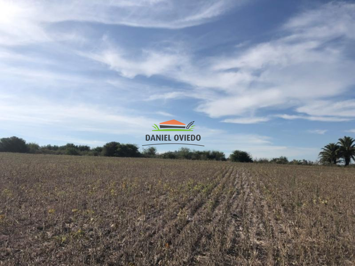 Campo Ref.65 - 35.5 hás frente a Zona Franca Nueva Helvecia.