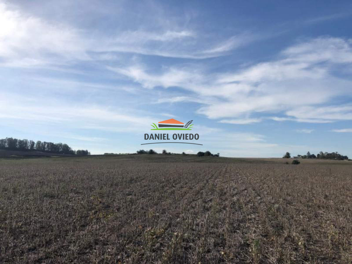 Campo Ref.65 - 35.5 hás frente a Zona Franca Nueva Helvecia.