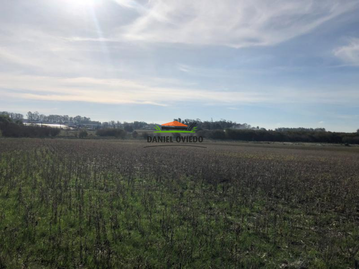 Campo Ref.65 - 35.5 hás frente a Zona Franca Nueva Helvecia.