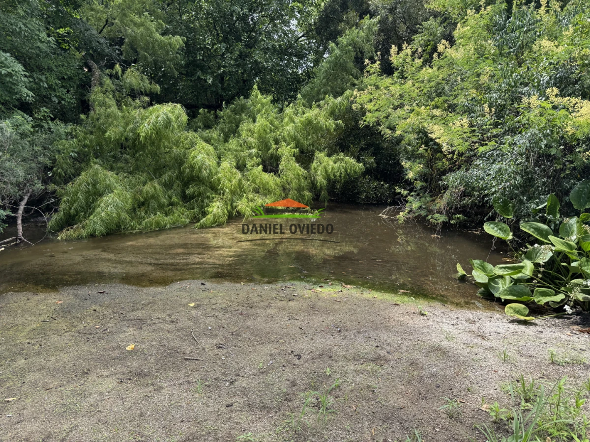 Campo Ref.336/Campo-agr - Campo agrícola de 18,9 hás con renta anual - Nueva Helvecia