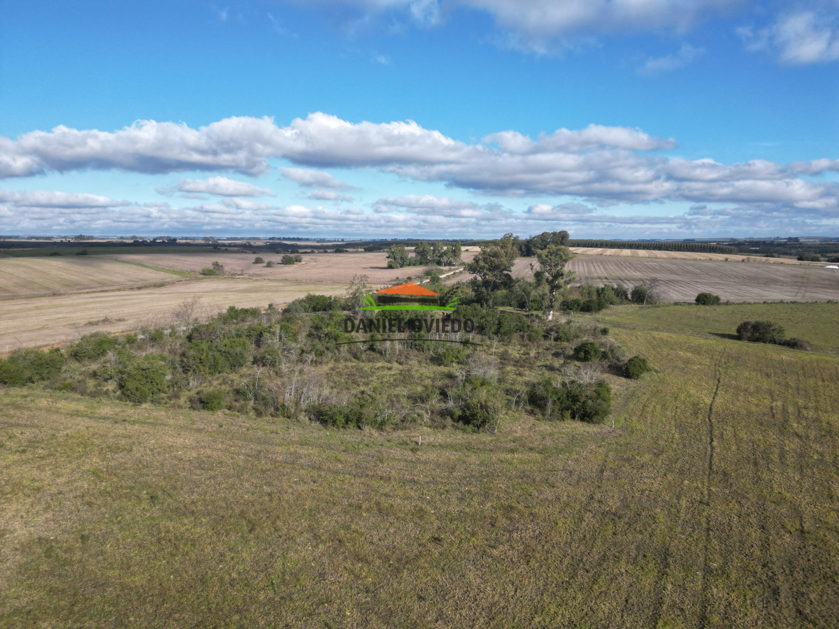 Campo Ref.208 - Campo agrícola ganadero de 20,95 has en Miguelete de Campana.