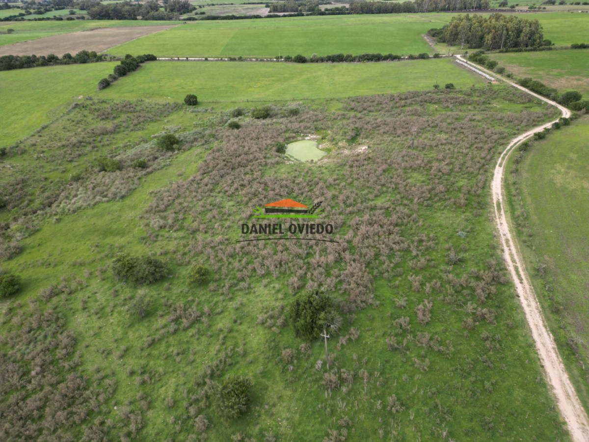 Campo Ref.377/Establecimiento-con-f - Establecimiento con fábrica y 33 Hás de campo - Instalaciones y equipamiento incluidos | Colonia