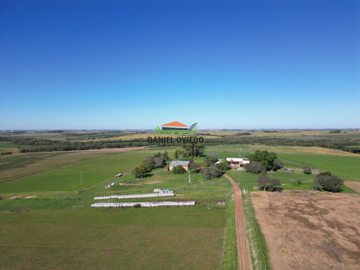 Campo Ref.381/Campo-agr - Campo agrícola en venta en zona de Víboras, Colonia.