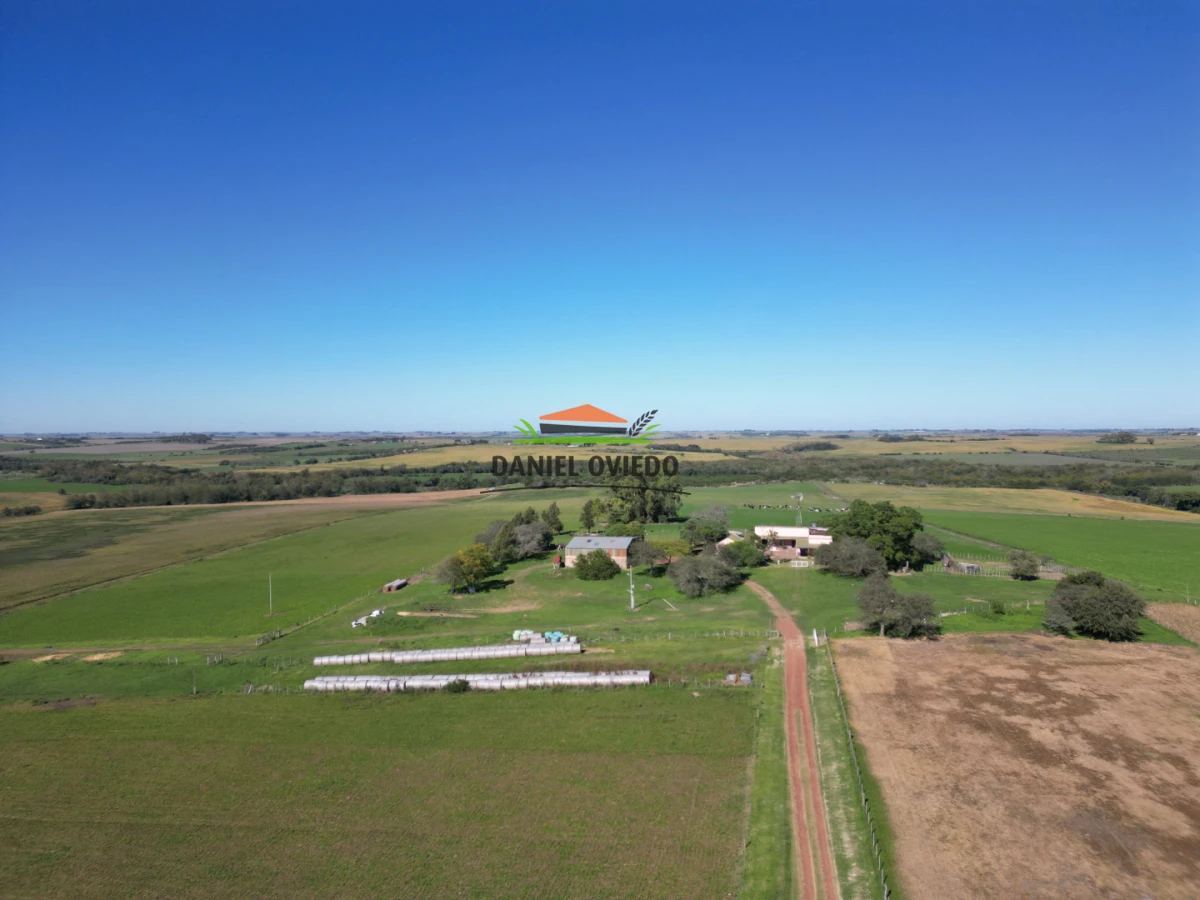 Campo Ref.381/Campo-agr - Campo agrícola en venta en zona de Víboras, Colonia.