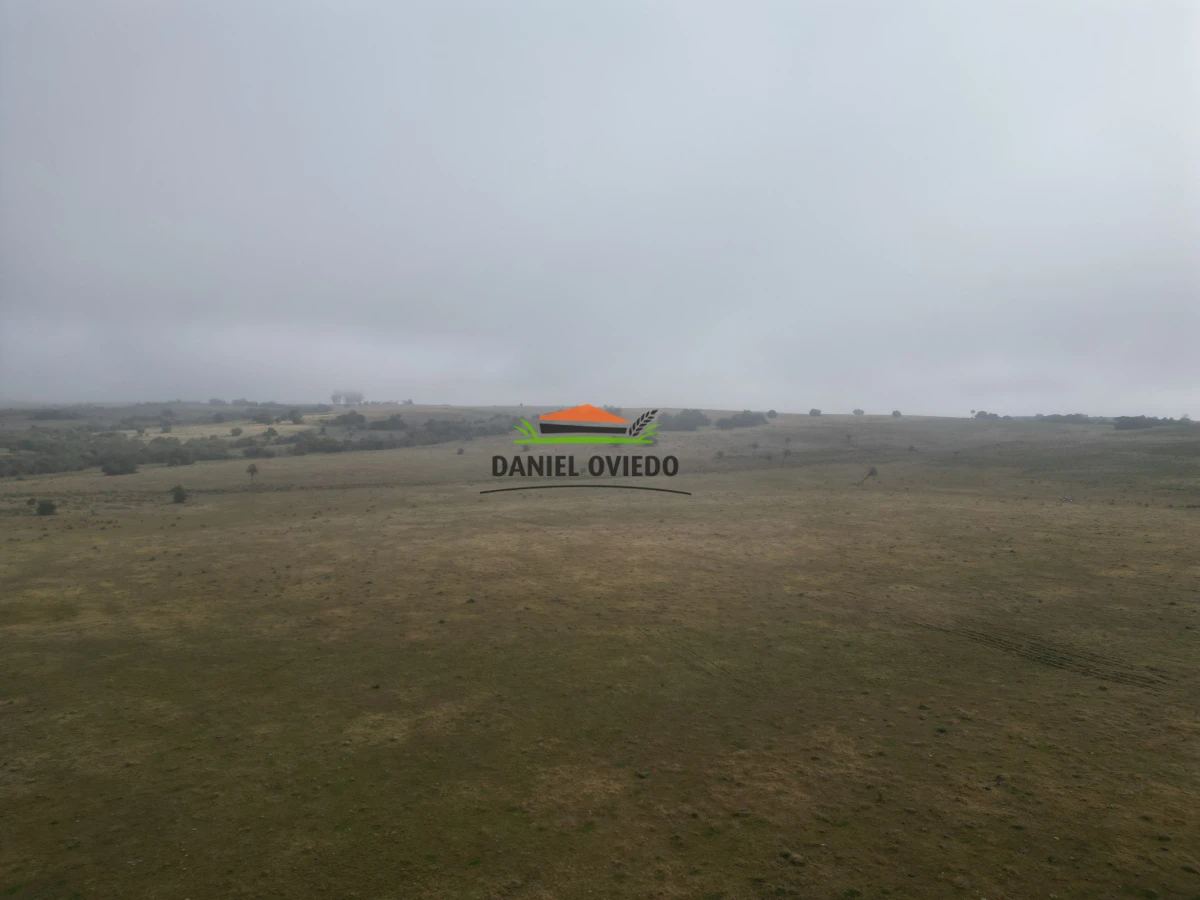 Campo Ref.245/1.350-has-ganaderas-en-arrendamiento-Noreste-de-Cerro-Largo. - 1.350 has ganaderas en arrendamiento Noreste de Cerro Largo.