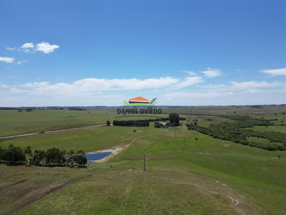 Campo Ref.357/Muy-buen-establecimiento-completo-en-venta-en-ruta-26-proximo-a-Melo. - Muy buen establecimiento completo en venta en ruta 26 proximo a Melo.