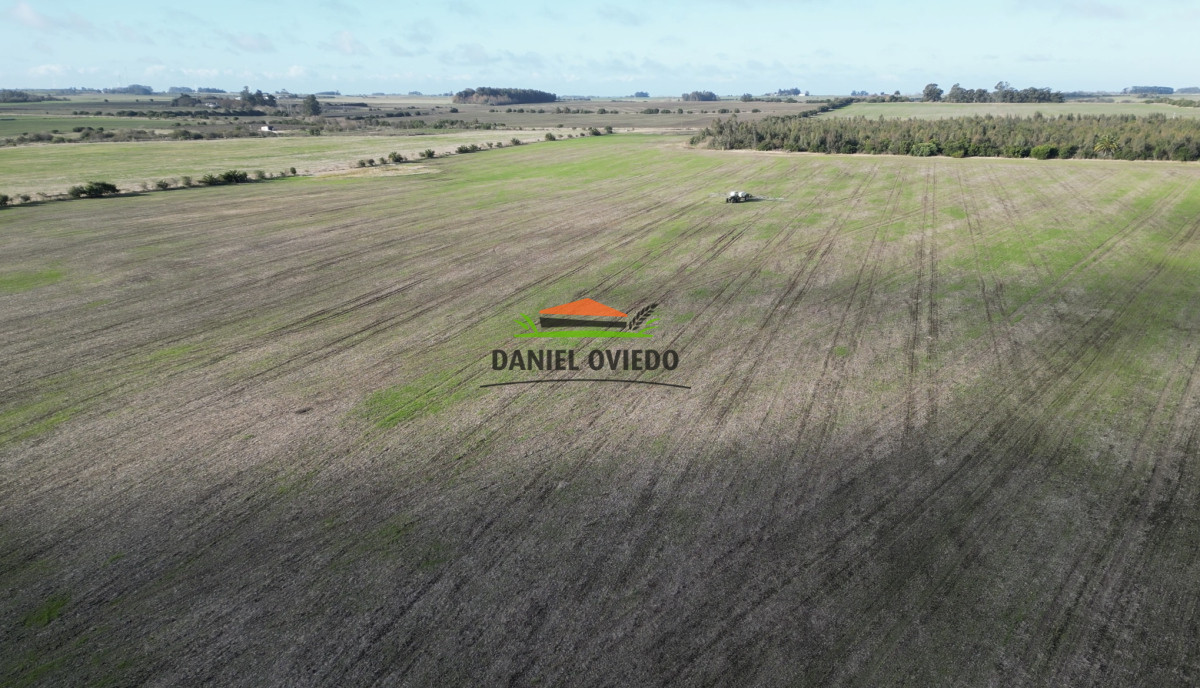 Campo Ref.235/Campo-agrícola-de-23.8-has-próximo-a-balneario-Artilleros. - Campo agrícola de 23.8 has próximo a balneario Artilleros.