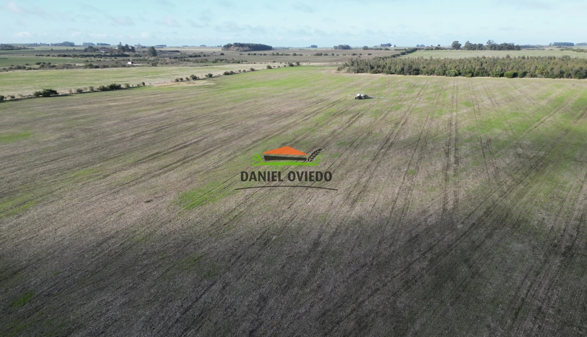 Campo Ref.235/Campo-agr - Campo agrícola de 23.8 has próximo a balneario Artilleros.