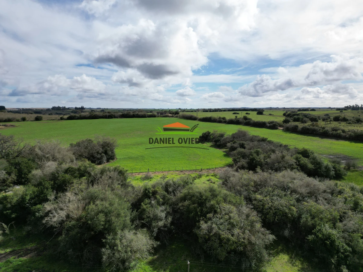 Campo Ref.249/Buen-campo-ganadero-en-venta-ideal-para-engorde. - Buen campo ganadero en venta ideal para engorde.