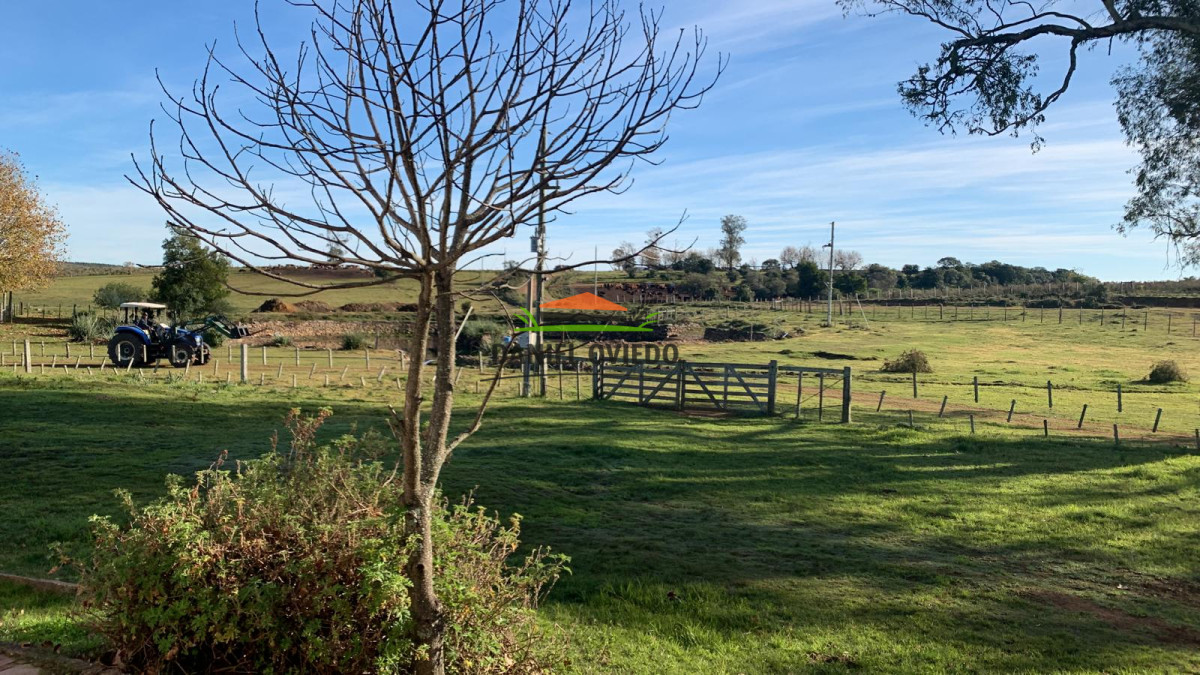 Campo Ref.210 - Estancia ganadera completa en venta de 3.000 has en Cerro Largo.