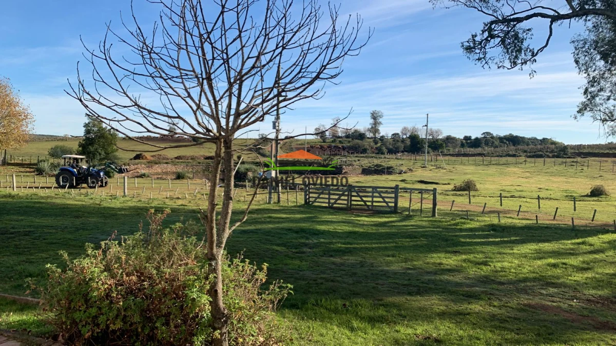 Campo Ref.210/Estancia-ganadera-completa-en-venta-de-2.956-has-en-Cerro-Largo. - Estancia ganadera completa en venta de 2.956 has en Cerro Largo.