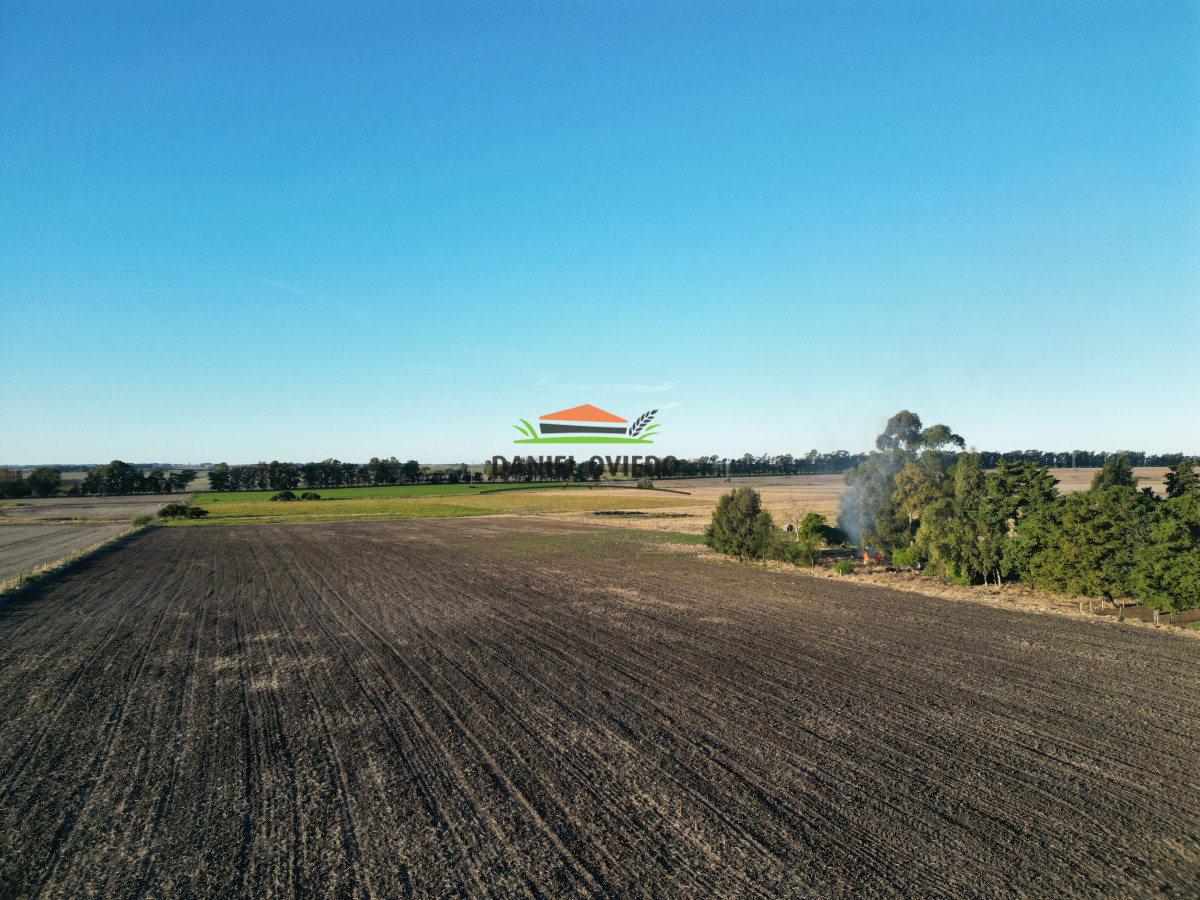 Campo Ref.209 - Excepcional ubicación en ruta 1 y campo productivo donde nadie vende.