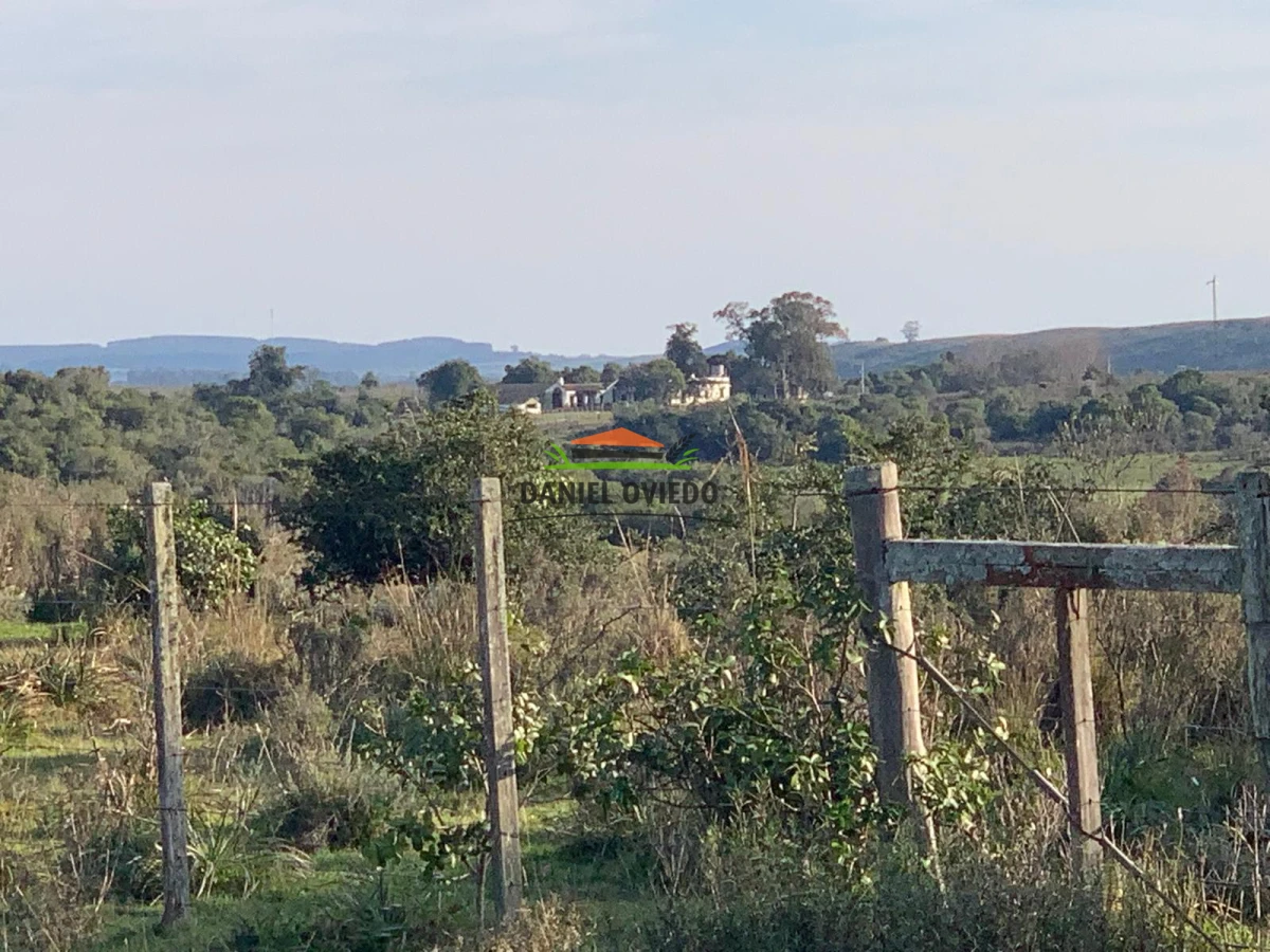 Campo Ref.210/Estancia-ganadera-completa-en-venta-de-2.956-has-en-Cerro-Largo. - Estancia ganadera completa en venta de 2.956 has en Cerro Largo.