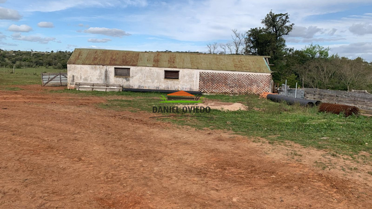 Campo Ref.210 - Estancia ganadera completa en venta de 3.000 has en Cerro Largo.