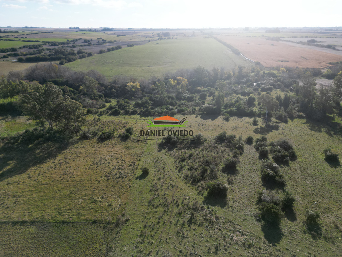 Campo Ref.208 - Campo agrícola ganadero de 20,95 has en Miguelete de Campana.