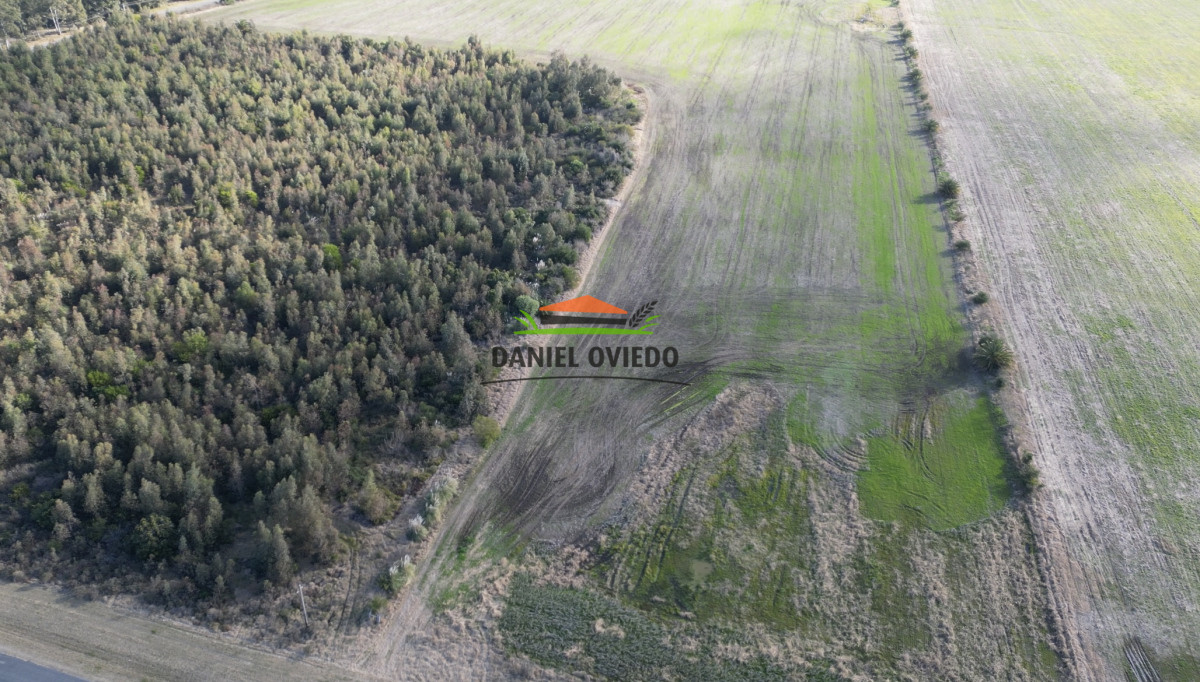 Campo Ref.235/Campo-agrícola-de-23.8-has-próximo-a-balneario-Artilleros. - Campo agrícola de 23.8 has próximo a balneario Artilleros.