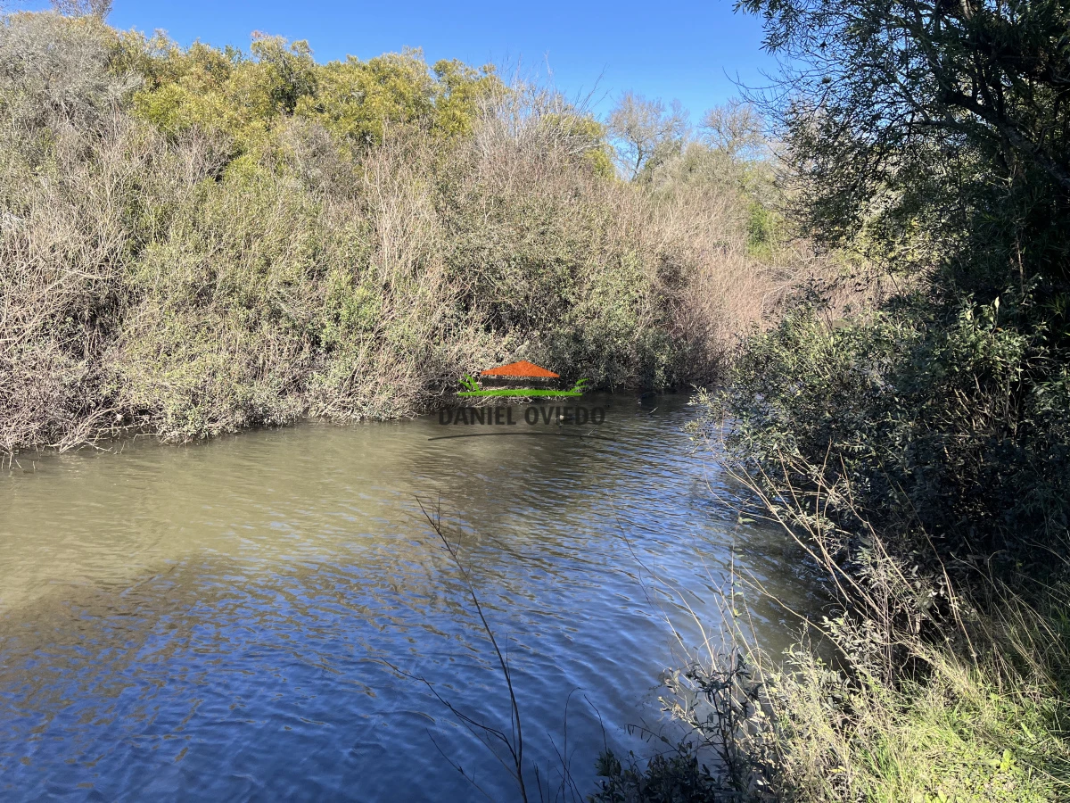 Campo Ref.243/Campo-agrícola-ganadero-en-venta-con-costa-de-arroyo. - Campo agrícola ganadero en venta con costa de arroyo.