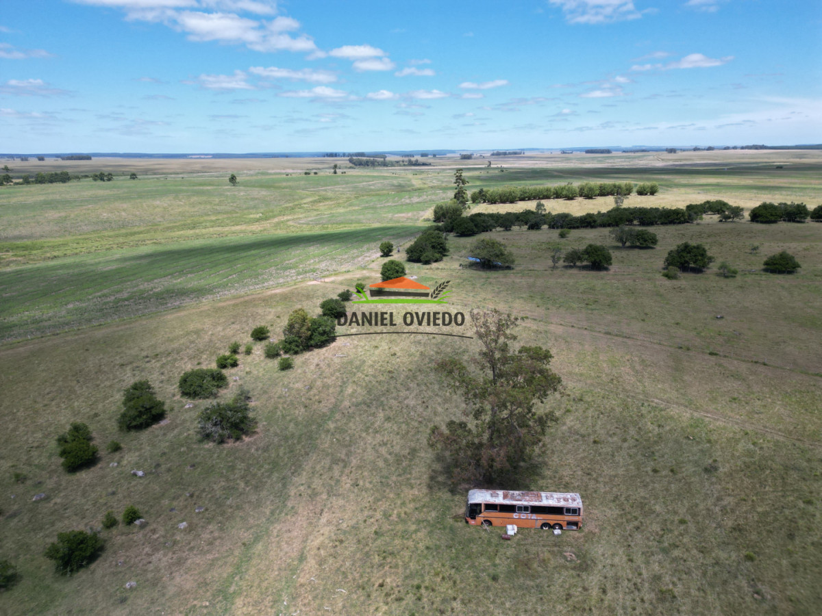 Campo Ref.359/Estancia-de-945-has-en-venta-en-Cerro-Largo. - Estancia de 945 has en venta en Cerro Largo.