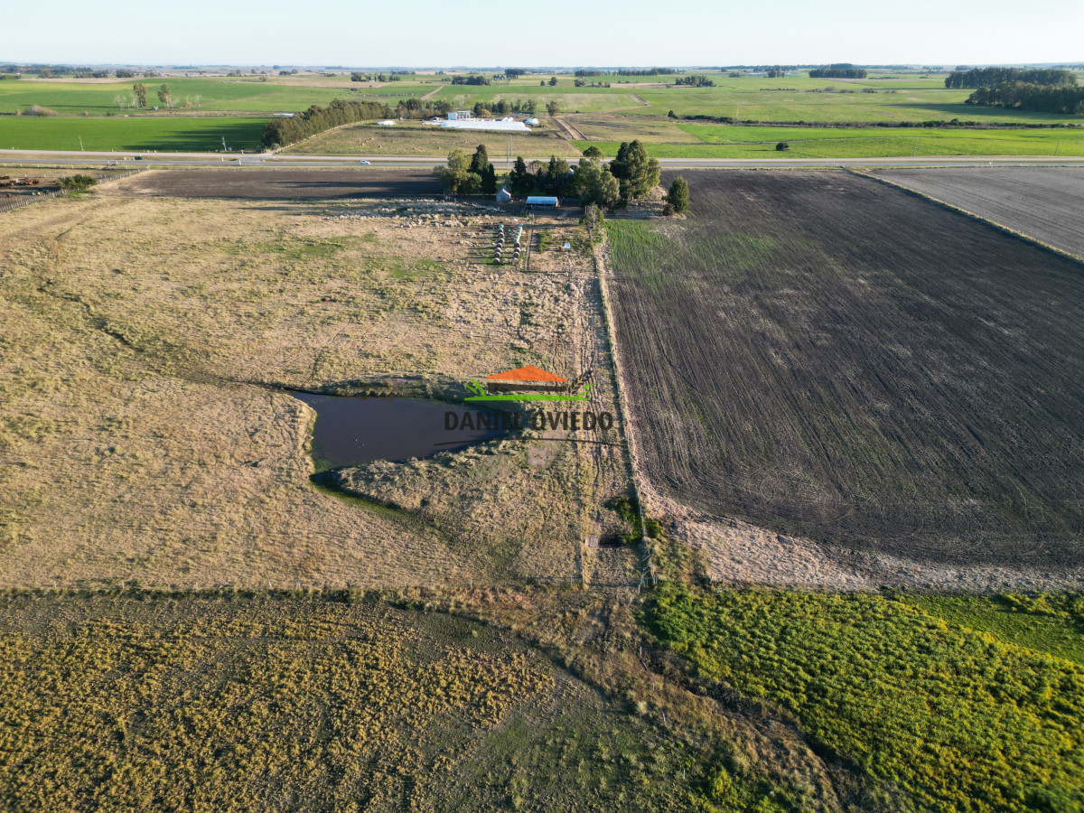 Campo Ref.209 - Excepcional ubicación en ruta 1 y campo productivo donde nadie vende.