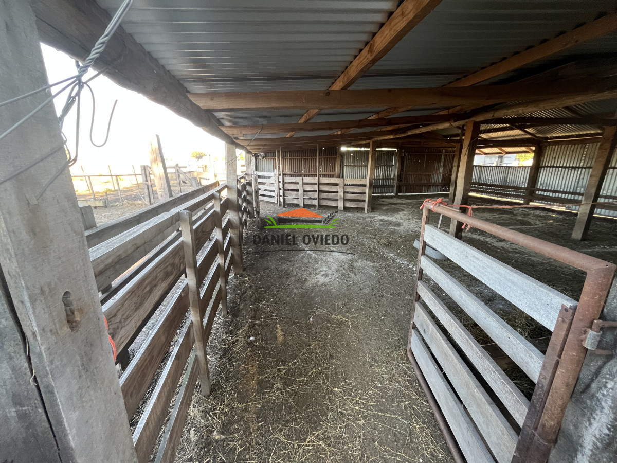 Campo Ref.209 - Excepcional ubicación en ruta 1 y campo productivo donde nadie vende.