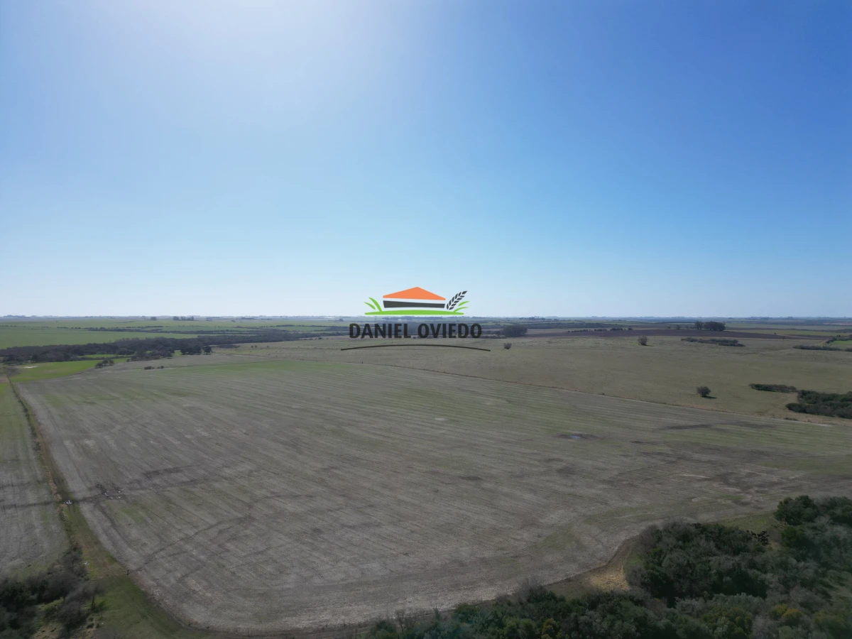 Campo Ref.243/Campo-agrícola-ganadero-en-venta-con-costa-de-arroyo. - Campo agrícola ganadero en venta con costa de arroyo.