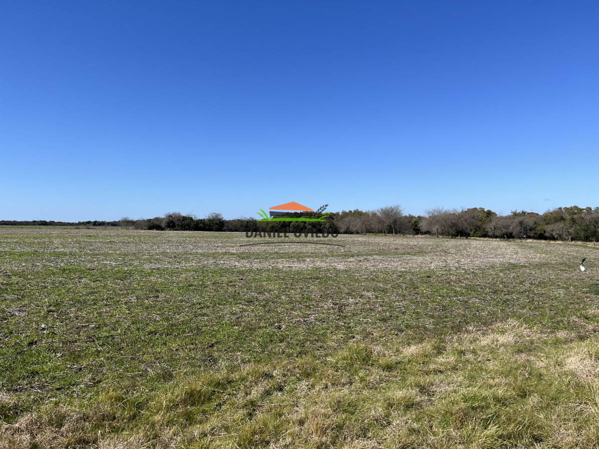 Campo Ref.243/Campo-agrícola-ganadero-en-venta-con-costa-de-arroyo. - Campo agrícola ganadero en venta con costa de arroyo.