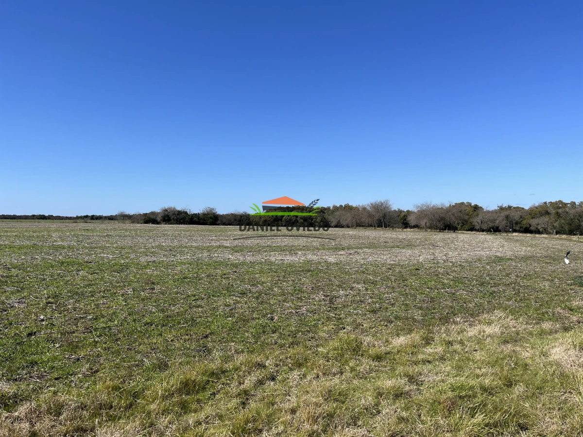 Campo Ref.243/Campo-agrícola-ganadero-en-venta-con-costa-de-arroyo. - Campo agrícola ganadero en venta con costa de arroyo.