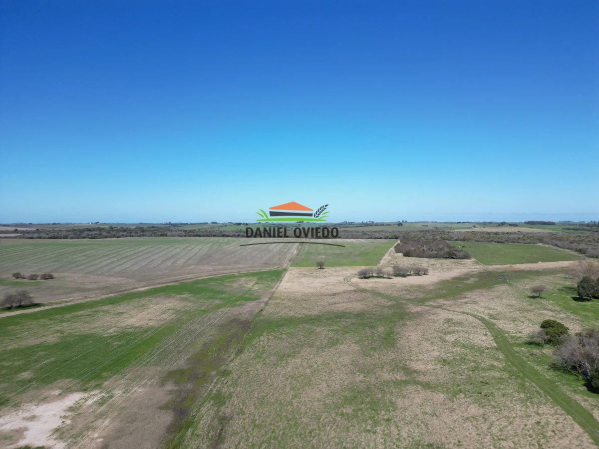 Campo Ref.243/Campo-agrícola-ganadero-en-venta-con-costa-de-arroyo. - Campo agrícola ganadero en venta con costa de arroyo.