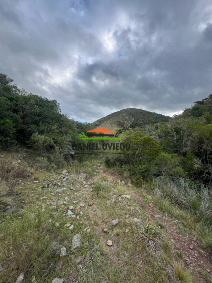 Campo Ref.350/Oportunidad-buen-campo-ganadero-en-venta-con-excelentes-vistas. - Oportunidad buen campo ganadero en venta con excelentes vistas.