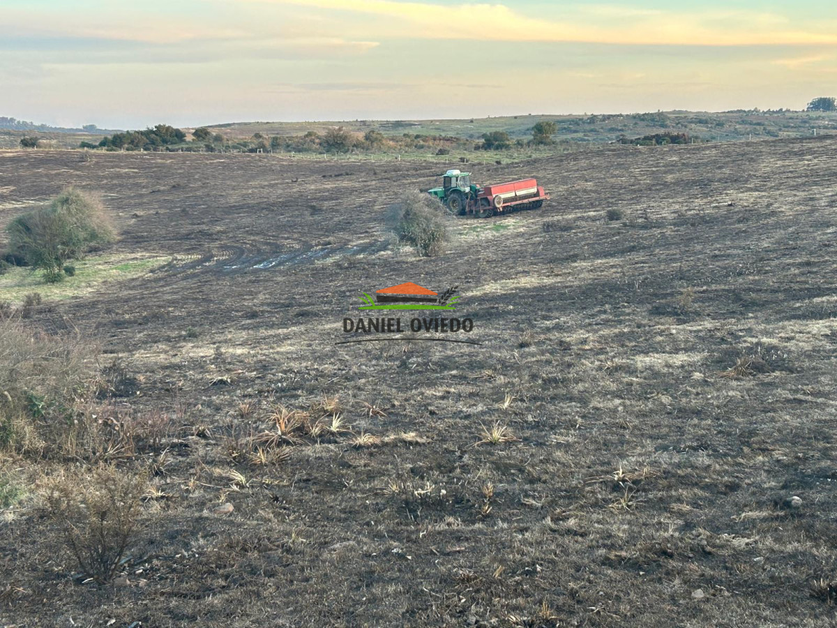 Campo Ref.211 - Estancia La Querida, Cerro Largo, 1.675 has en venta.