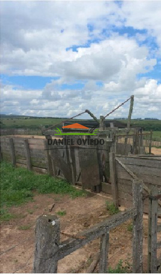 Campo Ref.145/Establecimiento-de-3.000-h - Establecimiento de 3.000 hás en venta en Cerro Largo.